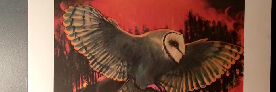 AKMStudios's profile banner image