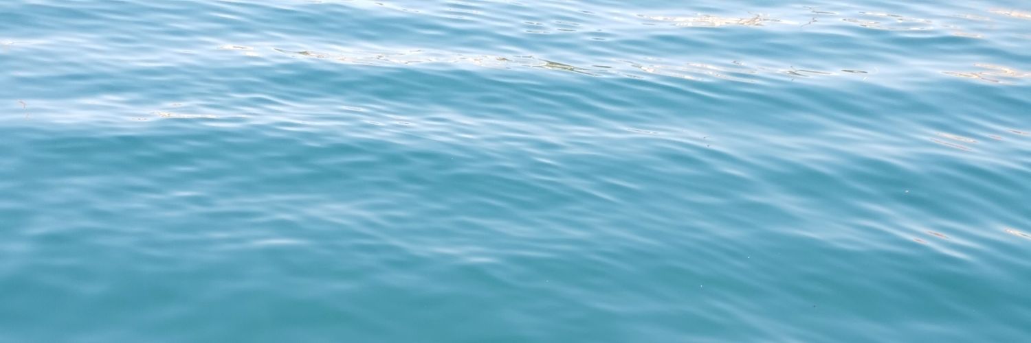FlowNaldo13's profile banner image