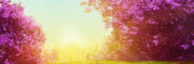IngMat17's profile banner image