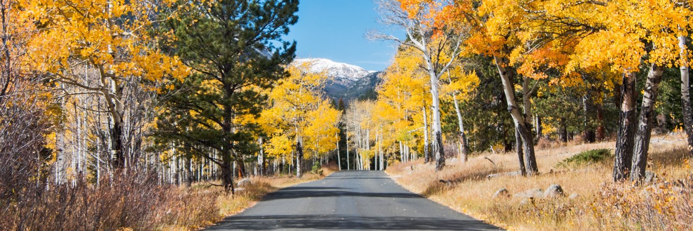 Pikes Peak Area CoG banner