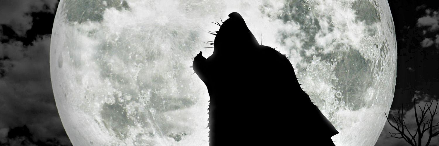 lobosumiso1982's profile banner image
