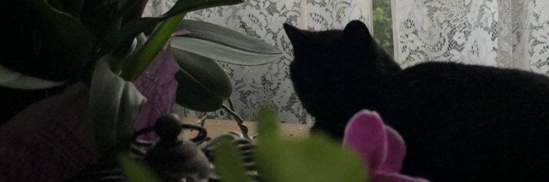 estelaganza's profile banner image