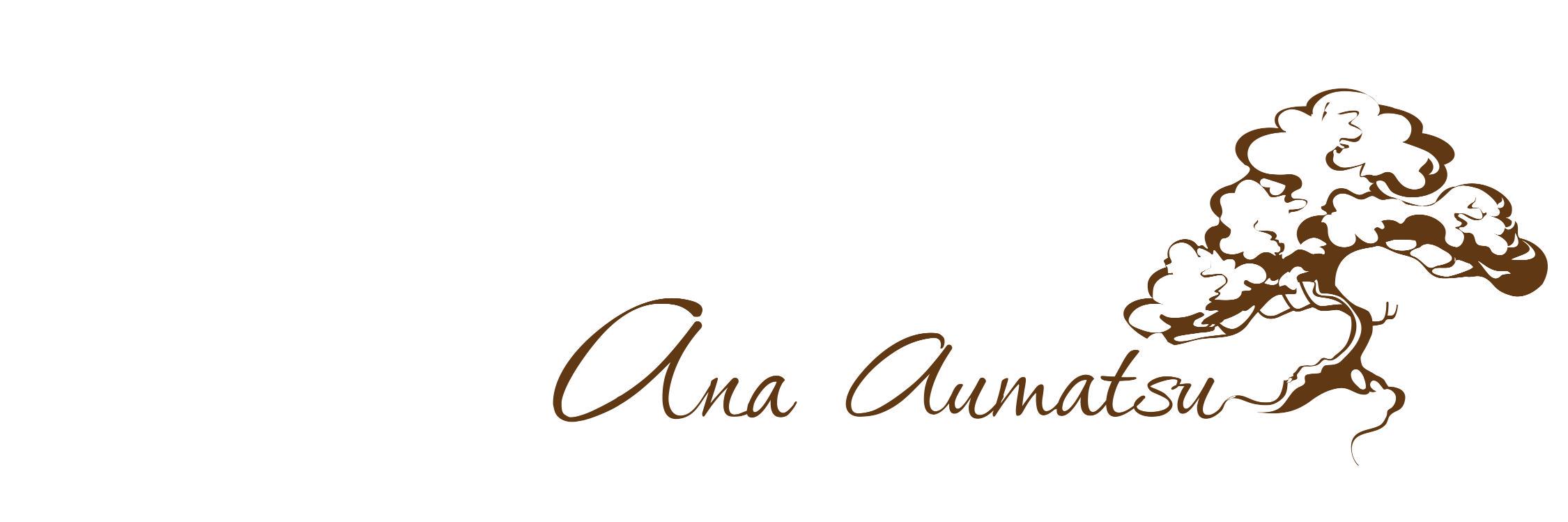 AnaAumatsu's profile banner image
