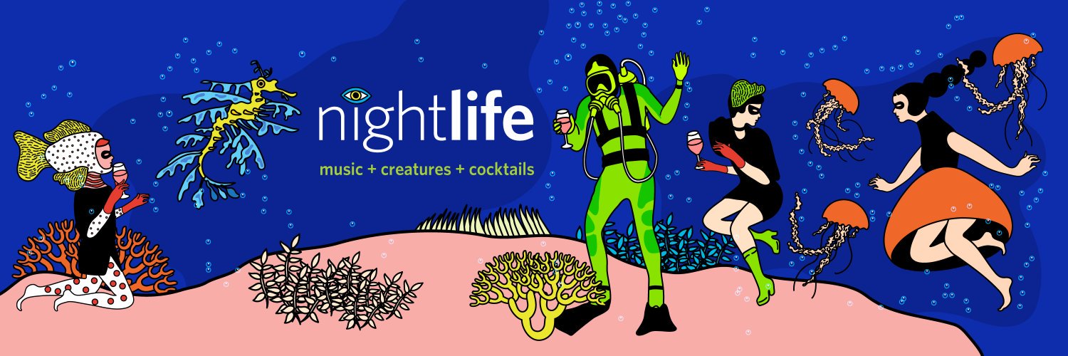 NightLife ✨ Profile Banner