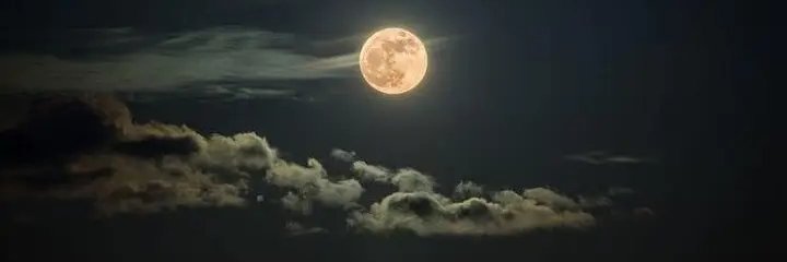 Neriuskaa_'s profile banner image