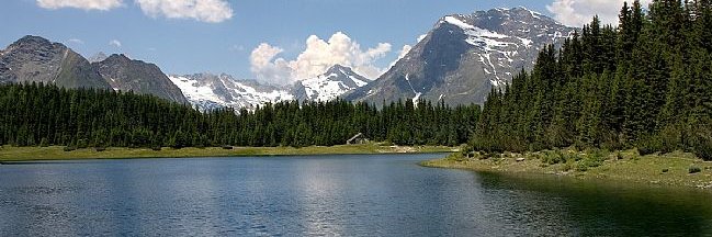 Michele Polli banner