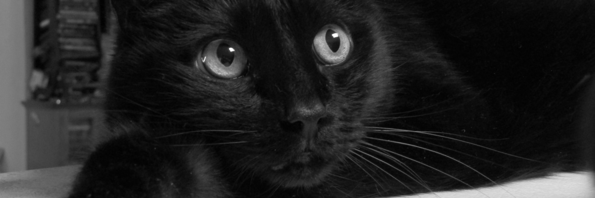 kwick22a's profile banner image