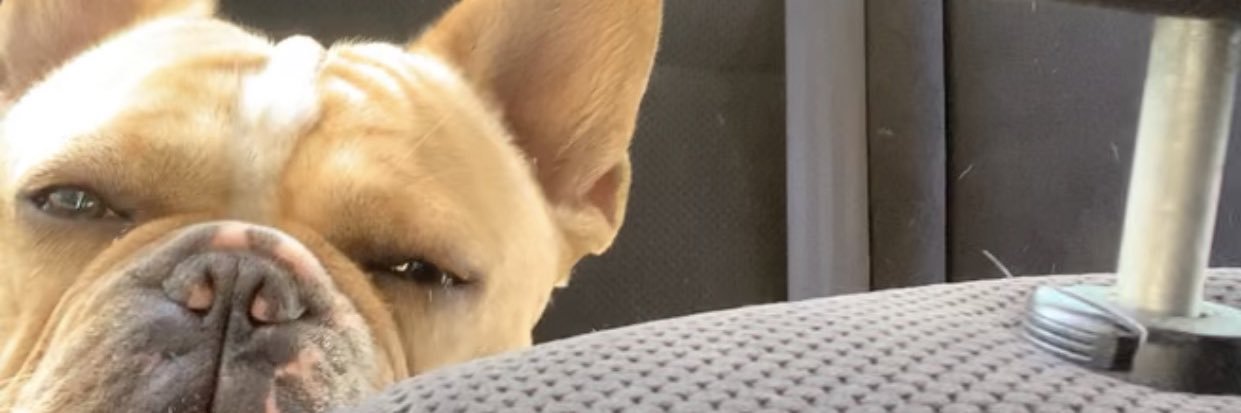 _sandee00's profile banner image