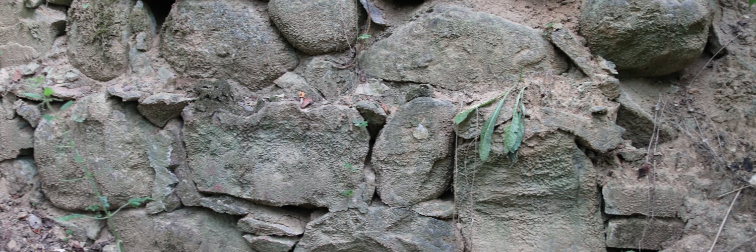 WaFilip's profile banner image