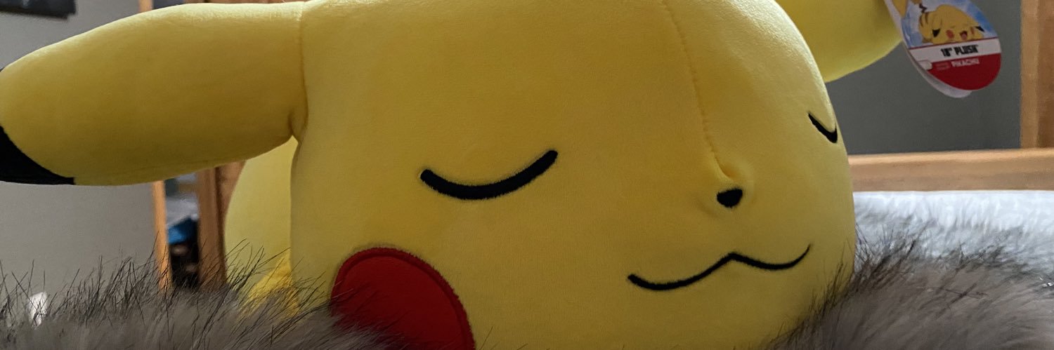 CallieSRGSD's profile banner image