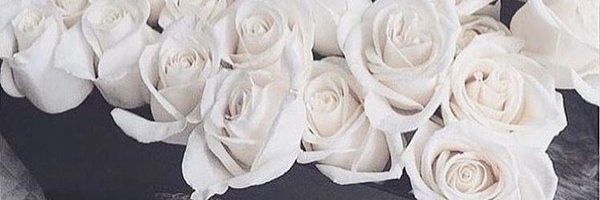 rubychaudry Profile Banner