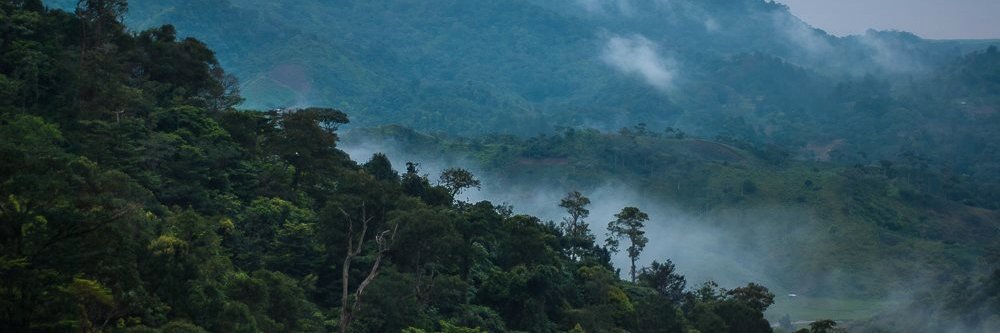 PanacamLodge's profile banner image