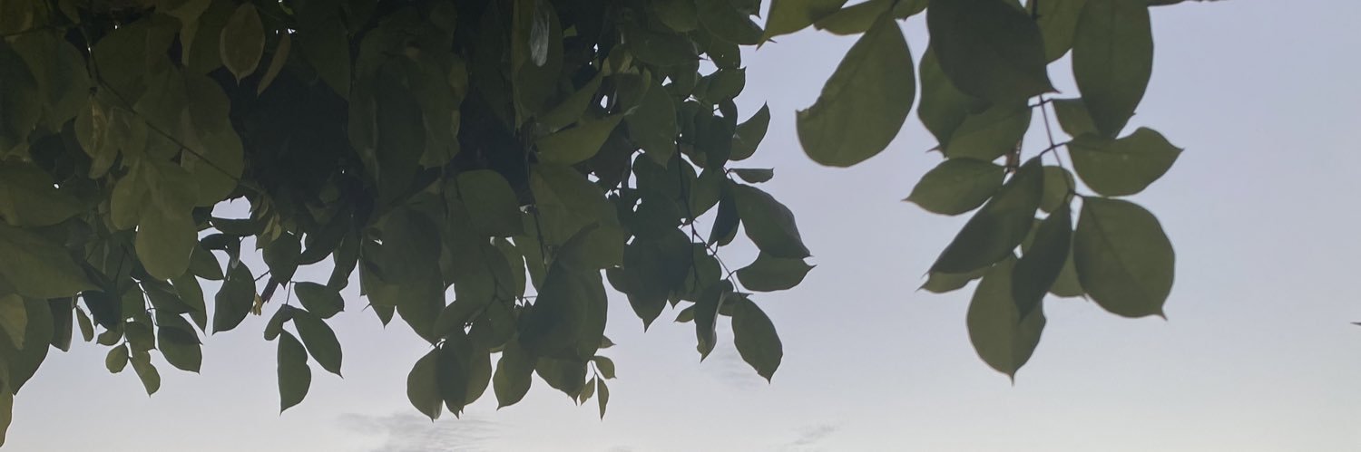 mariealineam's profile banner image