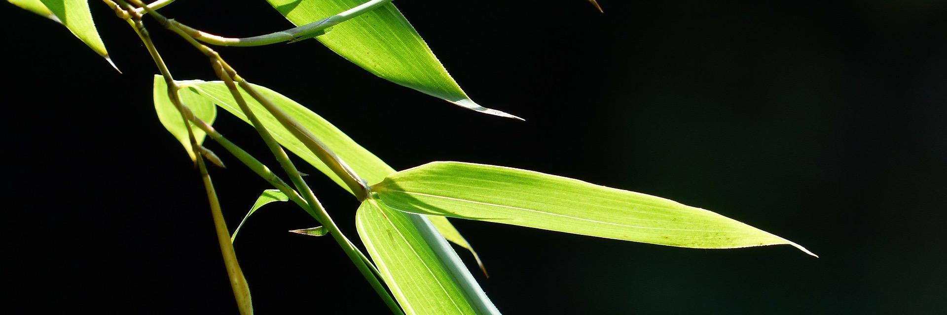 TakingTheMixLtd's profile banner image