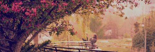 smayerstyle's profile banner image