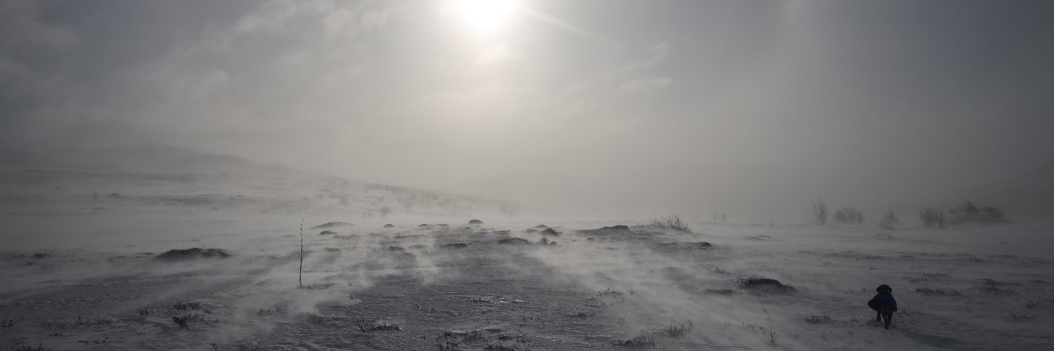 EspenLeknes's profile banner image