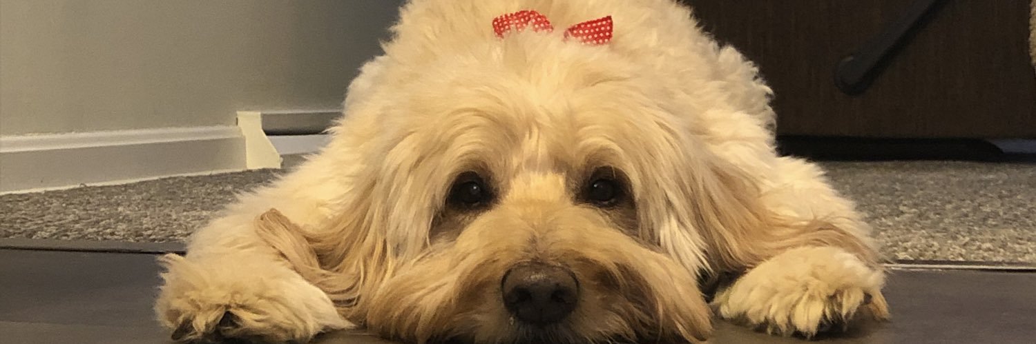 atutolo10's profile banner image