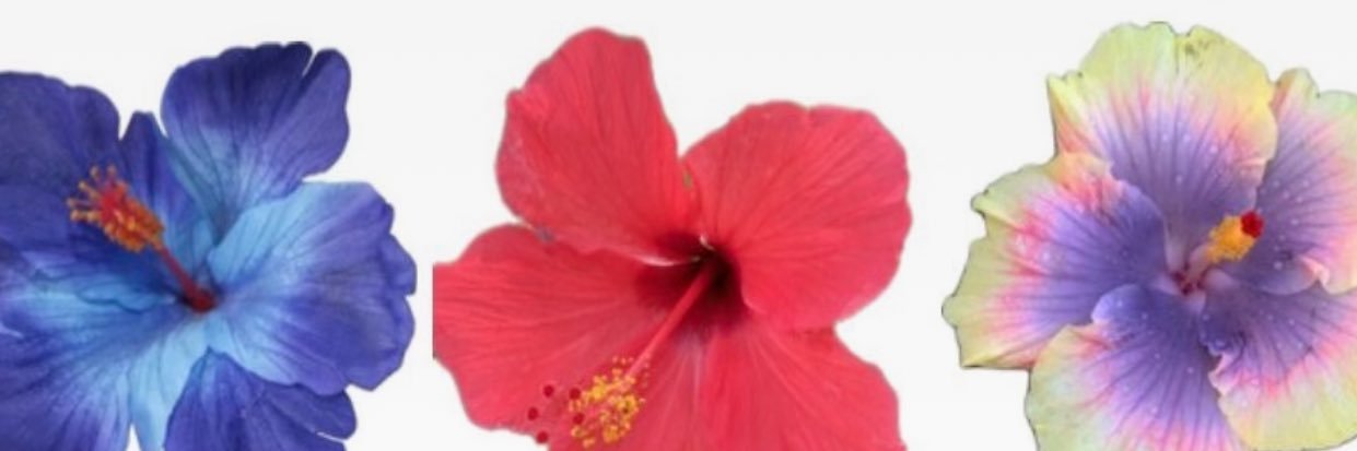 mfrmtz's profile banner image