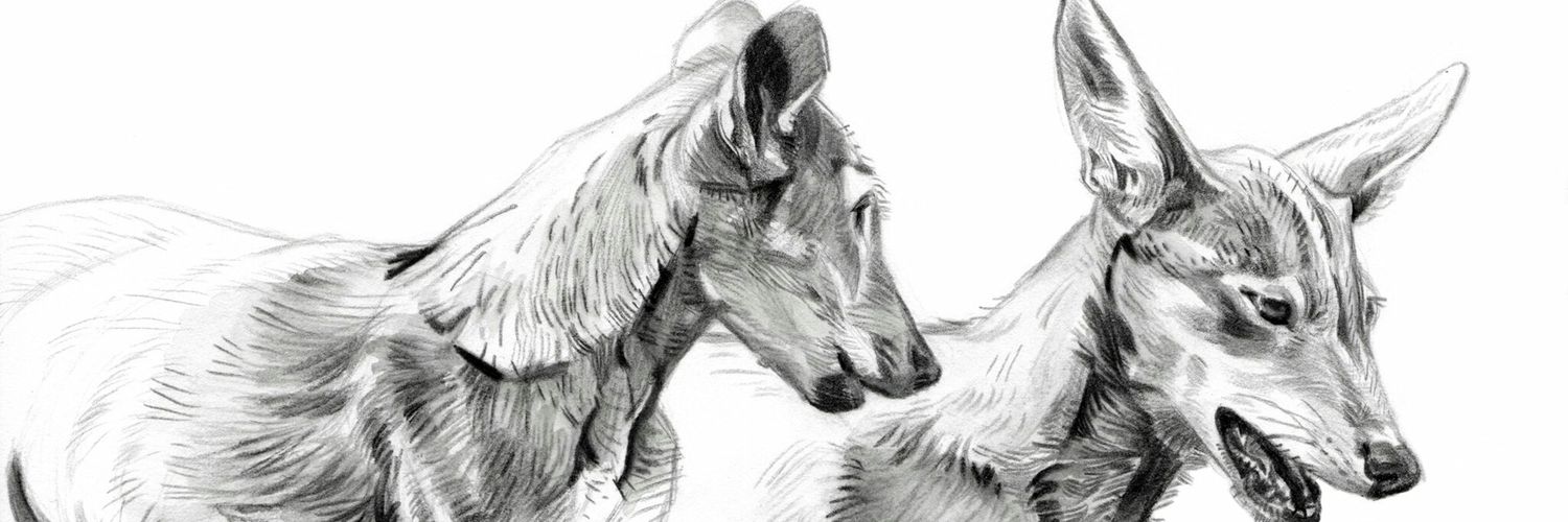 nivicKE's profile banner image