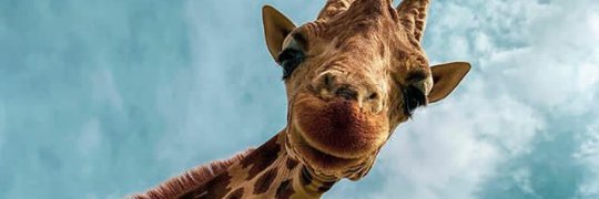 brcuu123's profile banner image