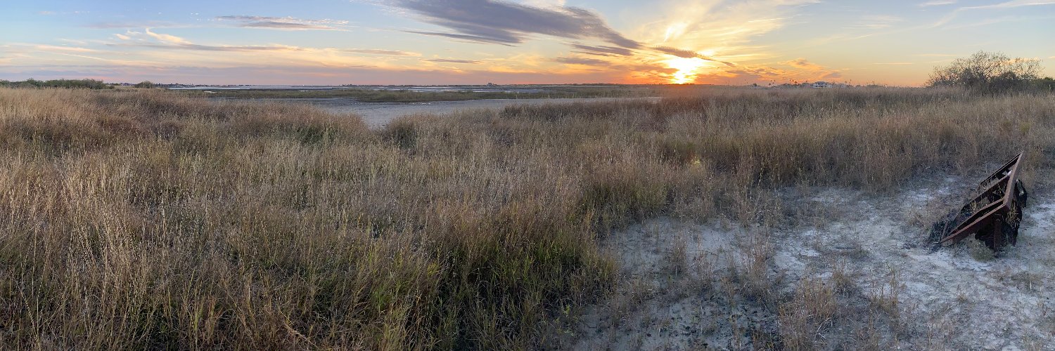 TexasBirder banner