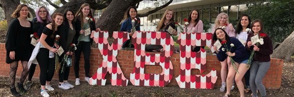 chibetaepsilon's profile banner image