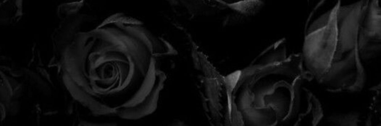 86BlackRoses's profile banner image