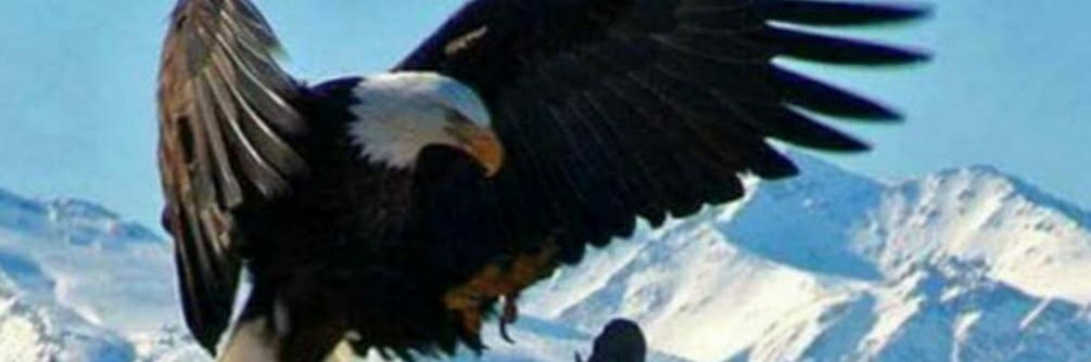 RaymondWDavis1's profile banner image