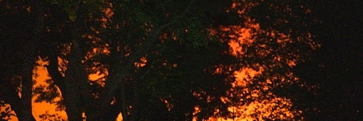 Papa Stan banner