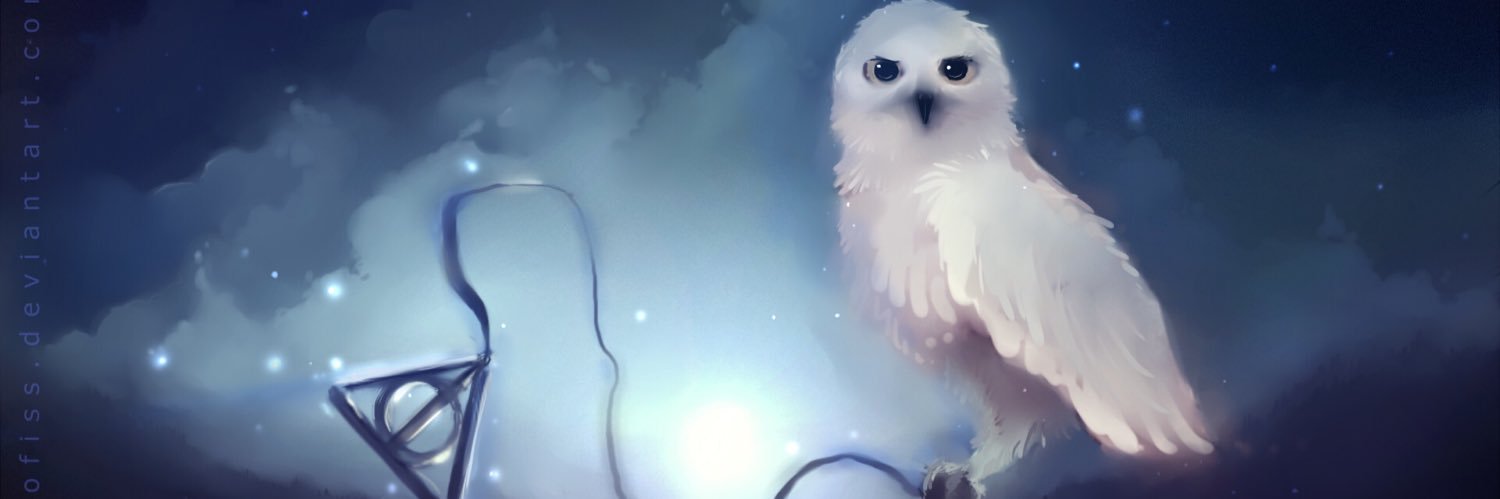 lukasbp__'s profile banner image