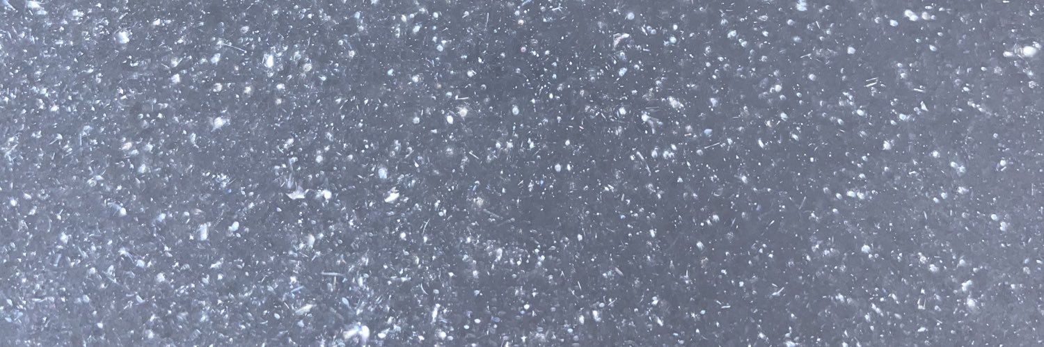 laulausezer's profile banner image