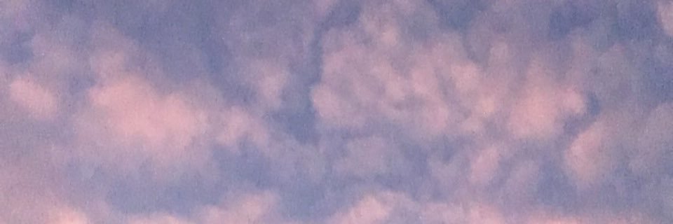 sunsetlyx's profile banner image