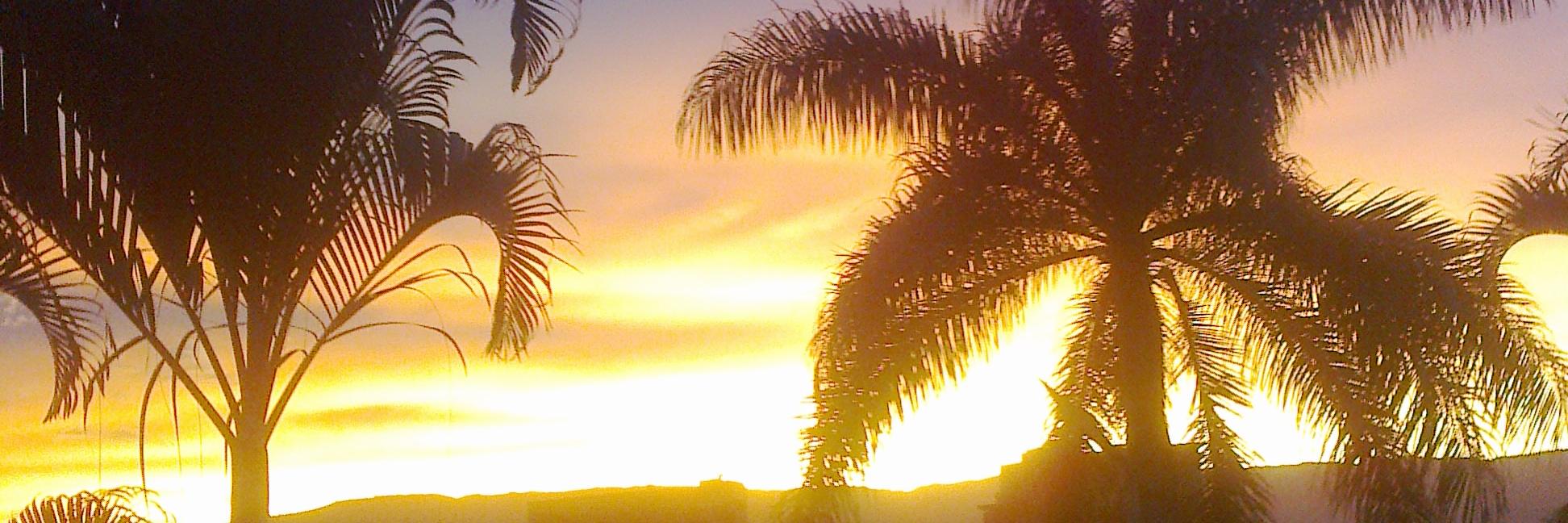 28murcia's profile banner image