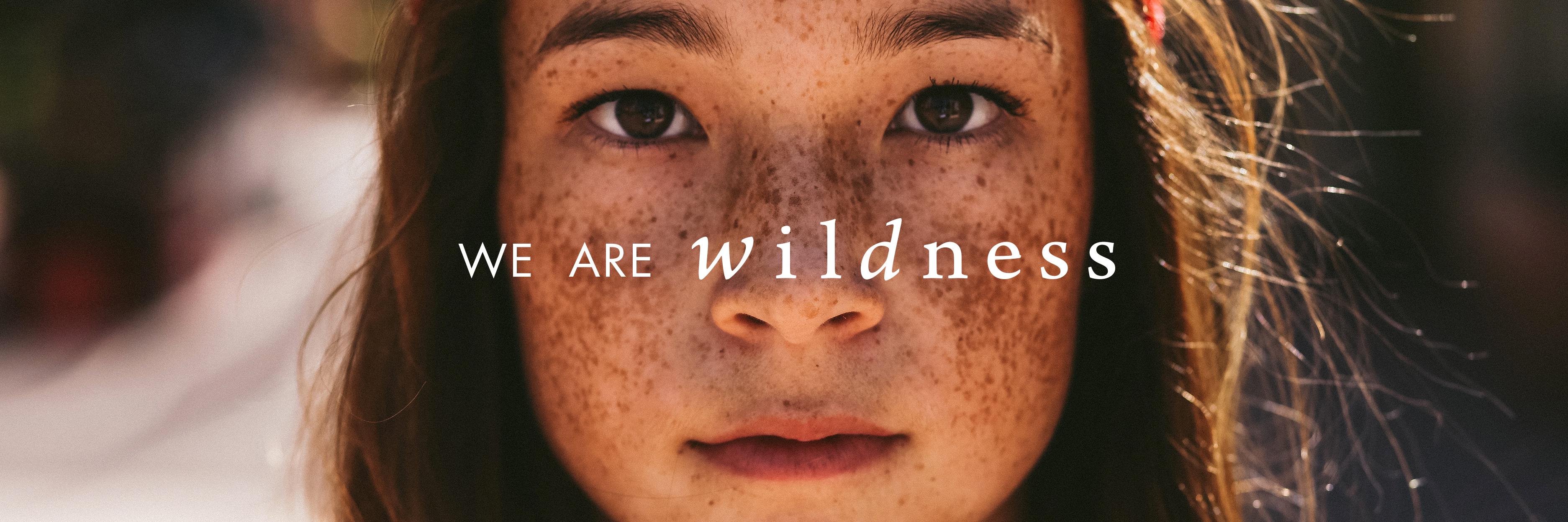 Wildness's profile banner image