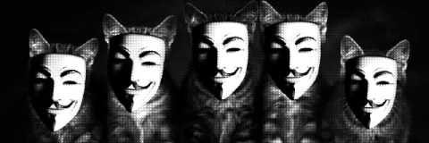 catz_dont's profile banner image