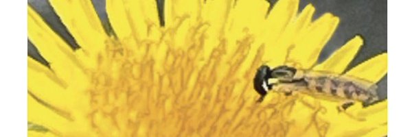 manholekuya Profile Banner