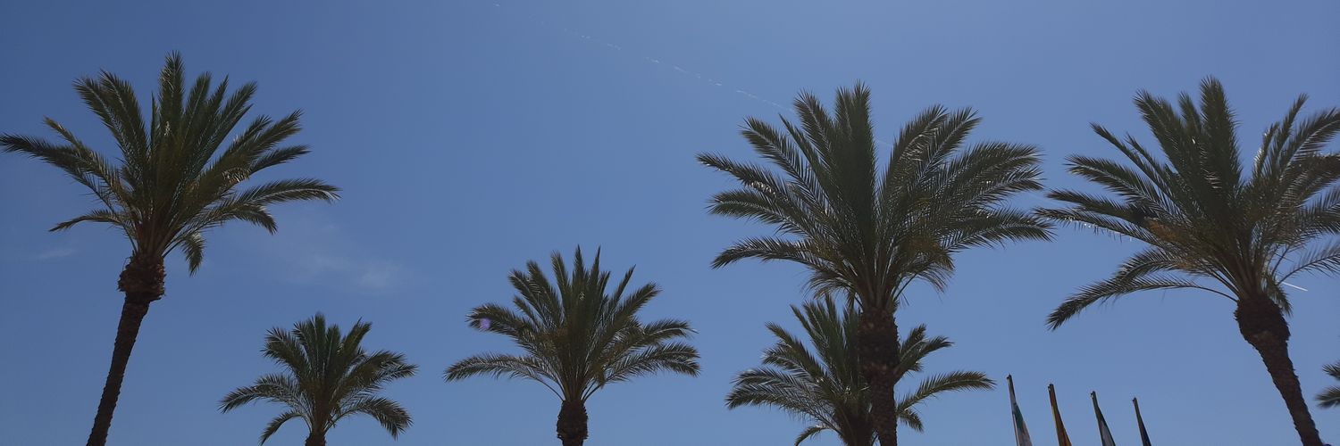 iverlov's profile banner image