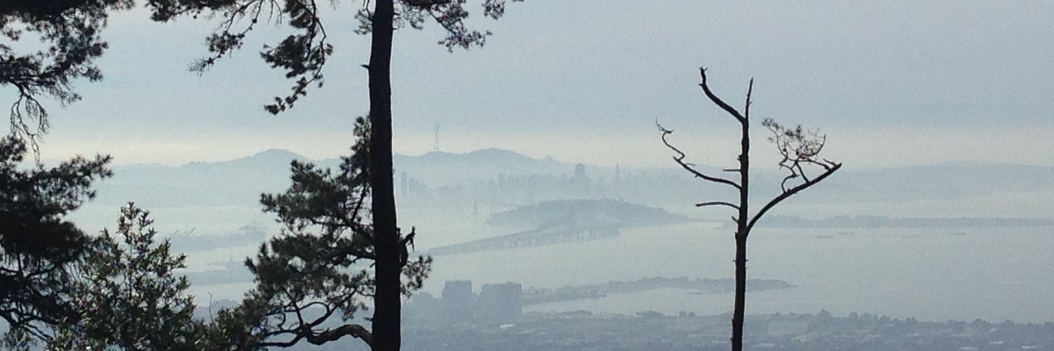 Charlotte Schulz banner