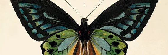 jstorrrmm's profile banner image