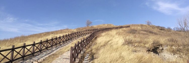 TanfongZx's profile banner image
