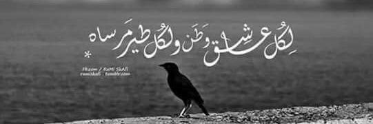 Faisalmm87's profile banner image