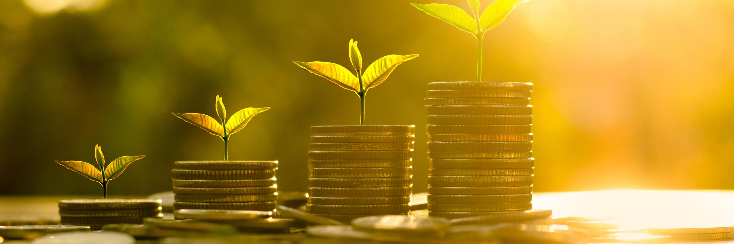 LudixPay's profile banner image