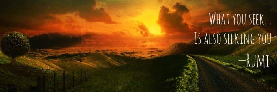 MandaStonya's profile banner image