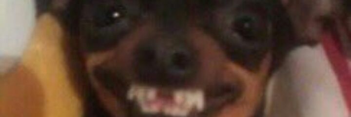 PscheidtCarla's profile banner image