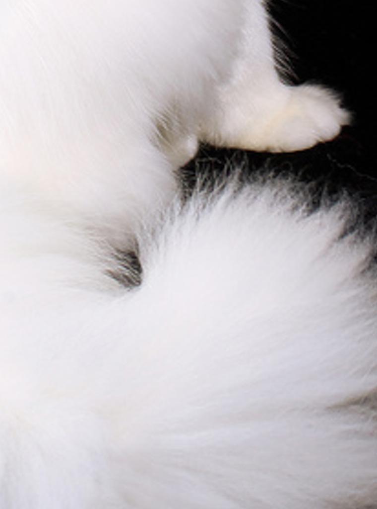verublatlo's profile banner image
