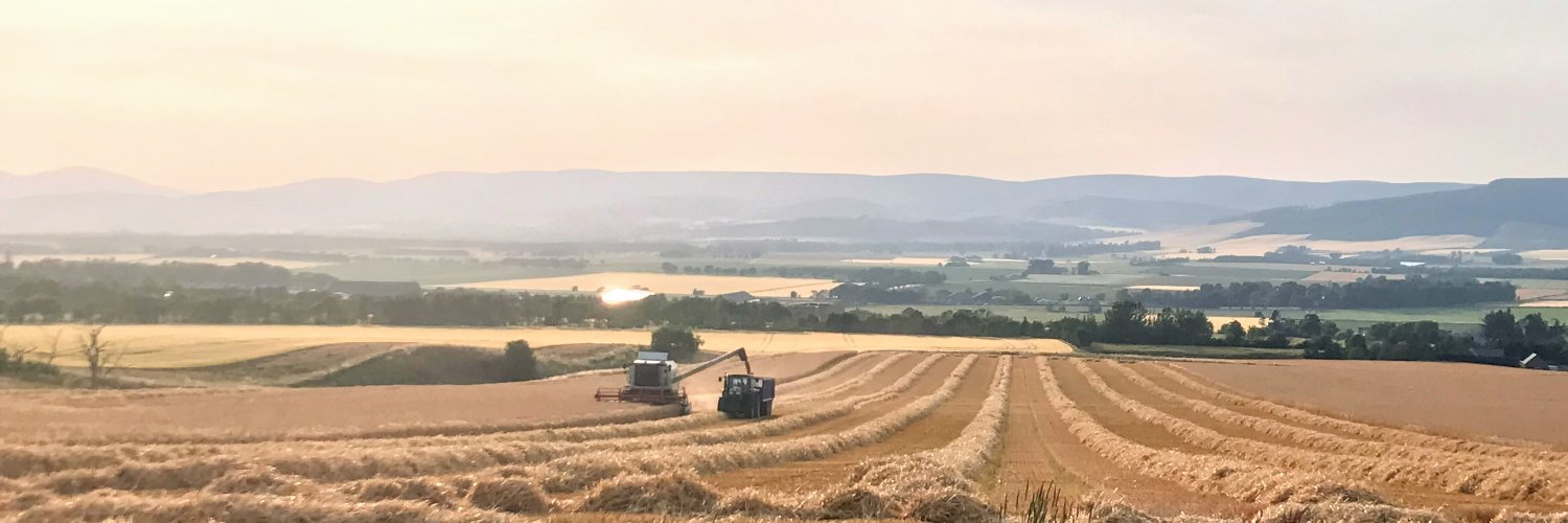 RuralHazel's profile banner image