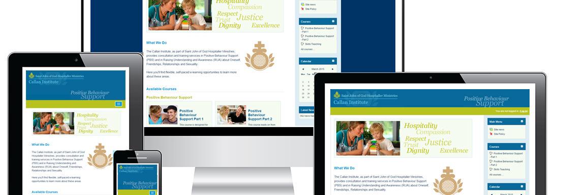 Callan Institute banner