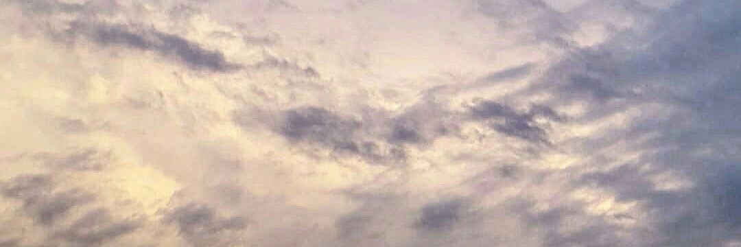 _potapenko's profile banner image