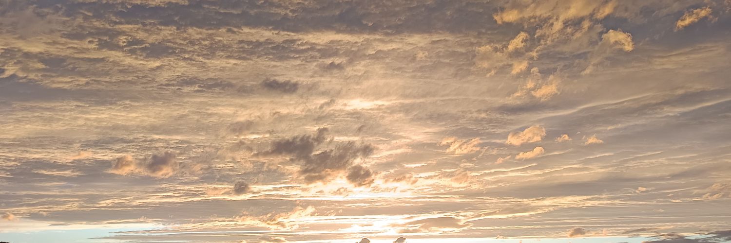 ordenata_'s profile banner image
