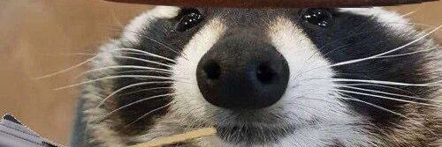 Crette_Luan's profile banner image